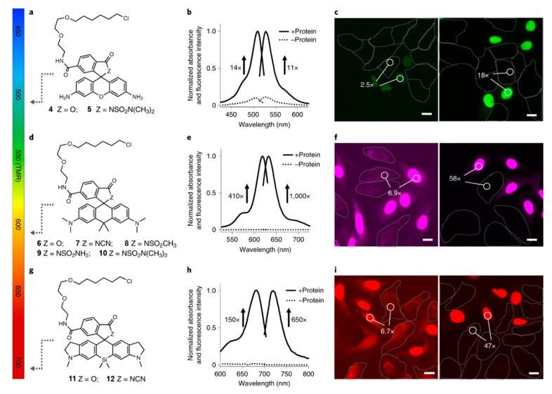 https://cdn.ncbi.nlm.nih.gov/pmc/blobs/a981/7766215/bc5258bb428e/molecules-25-05964-g011.jpg