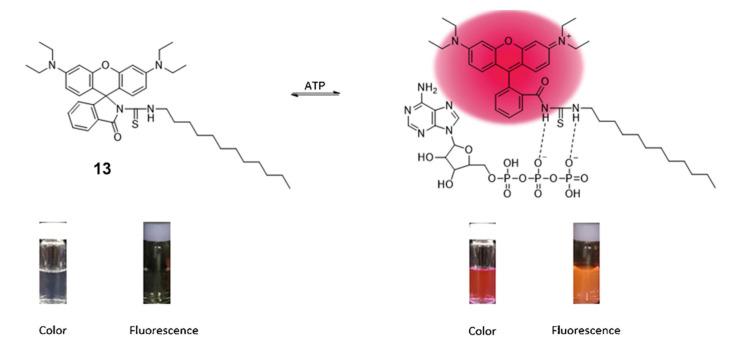 https://cdn.ncbi.nlm.nih.gov/pmc/blobs/a981/7766215/c4cb2cc62a33/molecules-25-05964-g017.jpg