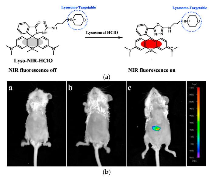 https://cdn.ncbi.nlm.nih.gov/pmc/blobs/a981/7766215/dc3b01bc6253/molecules-25-05964-g019.jpg