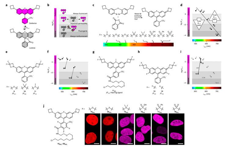 https://cdn.ncbi.nlm.nih.gov/pmc/blobs/a981/7766215/de81c231948d/molecules-25-05964-g024.jpg