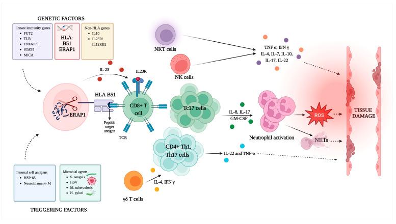 https://cdn.ncbi.nlm.nih.gov/pmc/blobs/a982/10671634/c3feb3d58e44/ijms-24-16382-g003.jpg