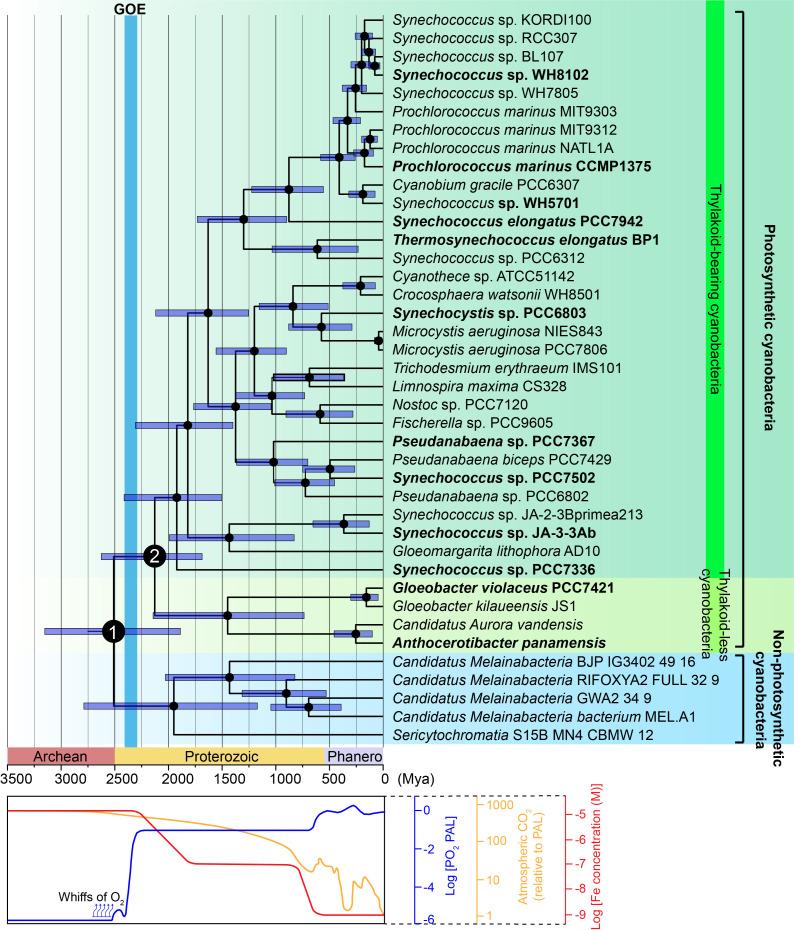 https://cdn.ncbi.nlm.nih.gov/pmc/blobs/a982/12038448/404cf6776259/fpls-16-1561629-g001.jpg