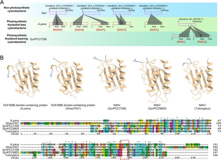 https://cdn.ncbi.nlm.nih.gov/pmc/blobs/a982/12038448/99f7d3174a00/fpls-16-1561629-g004.jpg