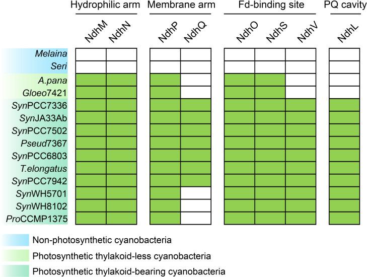 https://cdn.ncbi.nlm.nih.gov/pmc/blobs/a982/12038448/d167c514116d/fpls-16-1561629-g002.jpg