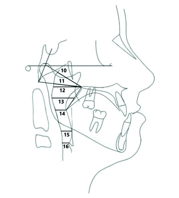 https://cdn.ncbi.nlm.nih.gov/pmc/blobs/a984/9877364/72935480cf04/kjod-53-1-35-f3.jpg