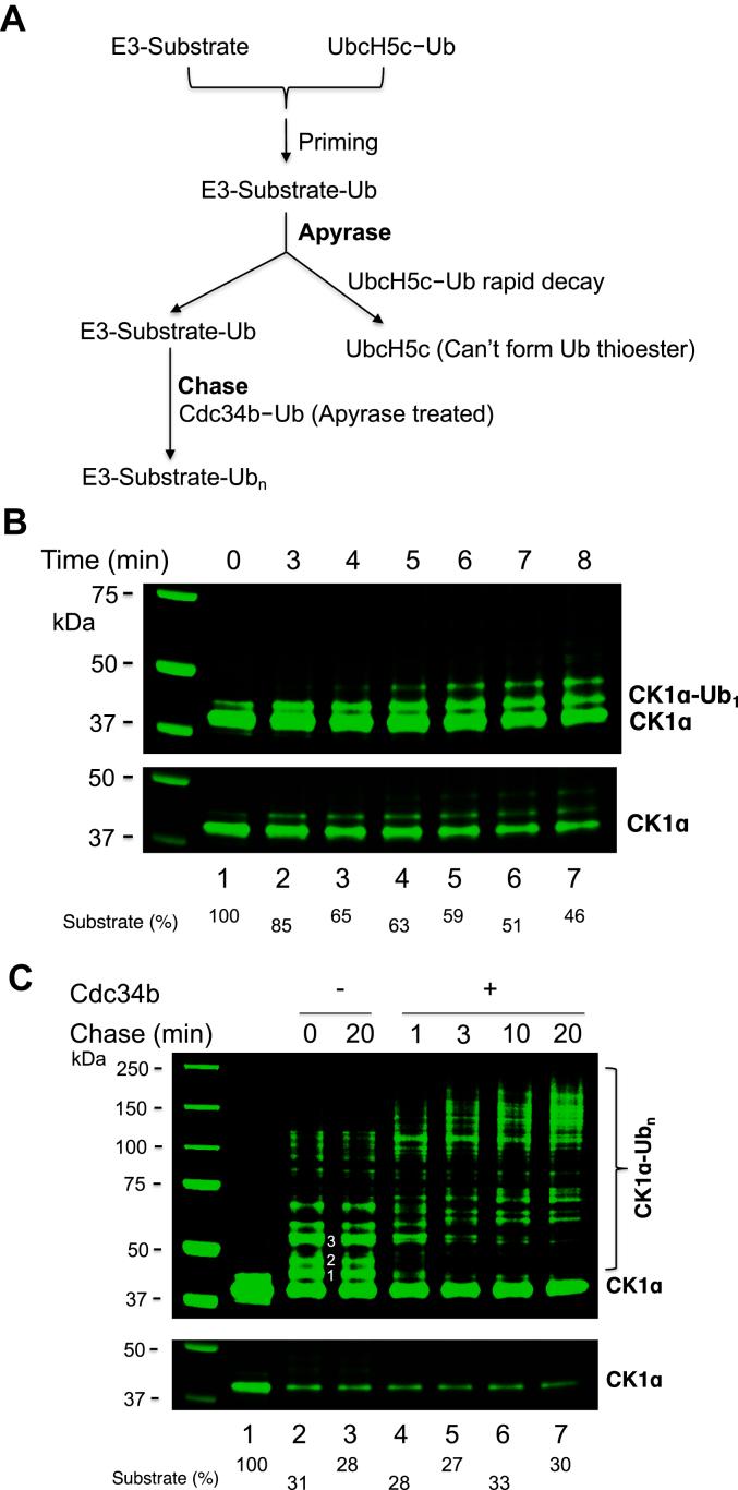 https://cdn.ncbi.nlm.nih.gov/pmc/blobs/a986/10944112/4808d0190fba/gr3.jpg