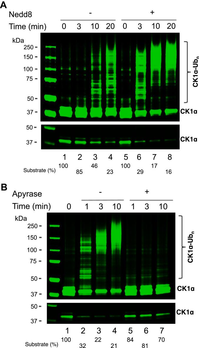 https://cdn.ncbi.nlm.nih.gov/pmc/blobs/a986/10944112/569ea6bcedfa/gr4.jpg