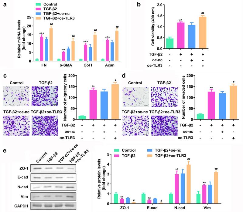https://cdn.ncbi.nlm.nih.gov/pmc/blobs/a987/9342145/be01aab90687/KBIE_A_2085391_F0004_OC.jpg