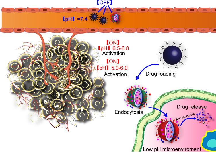 https://cdn.ncbi.nlm.nih.gov/pmc/blobs/a989/11193972/b925d802f298/IJN-19-6253-g0004.jpg