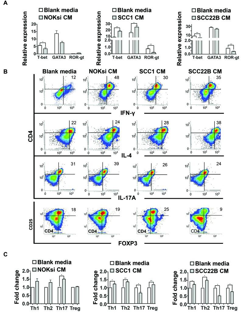 https://cdn.ncbi.nlm.nih.gov/pmc/blobs/a989/5617390/b36a5ae1530a/oncotarget-08-60860-g003.jpg