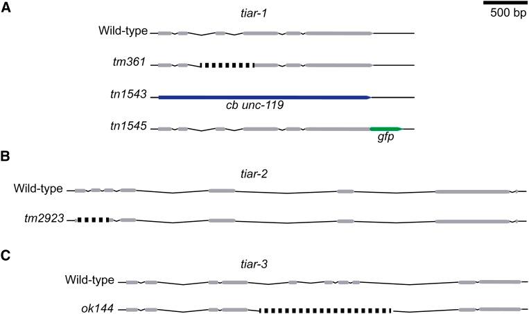 https://cdn.ncbi.nlm.nih.gov/pmc/blobs/a98b/4825639/8e537a4d1bf8/1031f2.jpg