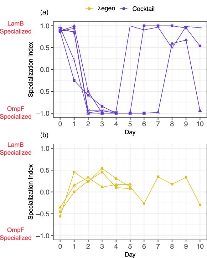 https://cdn.ncbi.nlm.nih.gov/pmc/blobs/a98b/9850009/972292a93dc8/EVA-16-152-g005.jpg