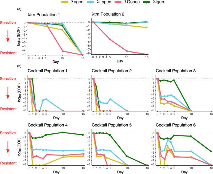 https://cdn.ncbi.nlm.nih.gov/pmc/blobs/a98b/9850009/ac0febe17864/EVA-16-152-g001.jpg