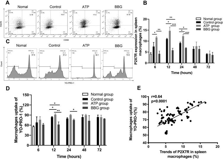 https://cdn.ncbi.nlm.nih.gov/pmc/blobs/a98d/9283387/c25ab4f6718c/JIR-15-1237-g0002.jpg