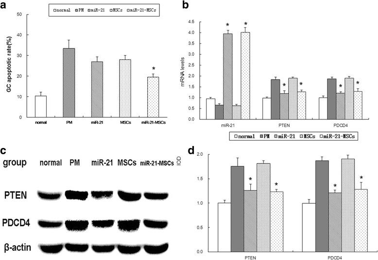 https://cdn.ncbi.nlm.nih.gov/pmc/blobs/a98e/5556338/74c64b3548dd/13287_2017_641_Fig2_HTML.jpg