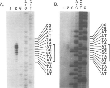 https://cdn.ncbi.nlm.nih.gov/pmc/blobs/a98f/554275/0b30d7091c3e/emboj00269-0044-a.jpg