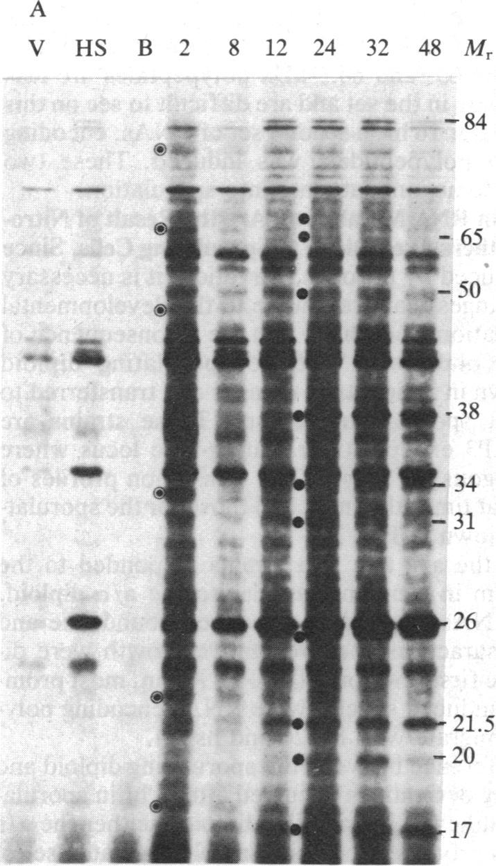 https://cdn.ncbi.nlm.nih.gov/pmc/blobs/a990/392138/101e598f7ffb/pnas00624-0065-b.jpg