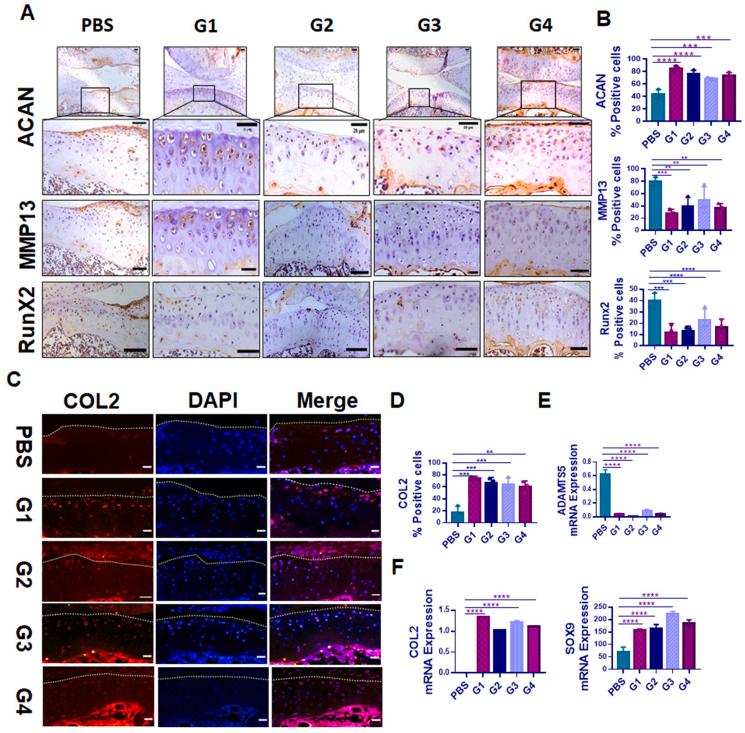 https://cdn.ncbi.nlm.nih.gov/pmc/blobs/a993/10785157/350b5f66b9ec/gr4.jpg