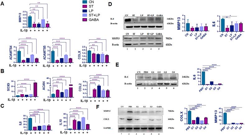 https://cdn.ncbi.nlm.nih.gov/pmc/blobs/a993/10785157/4df8207264da/gr2.jpg