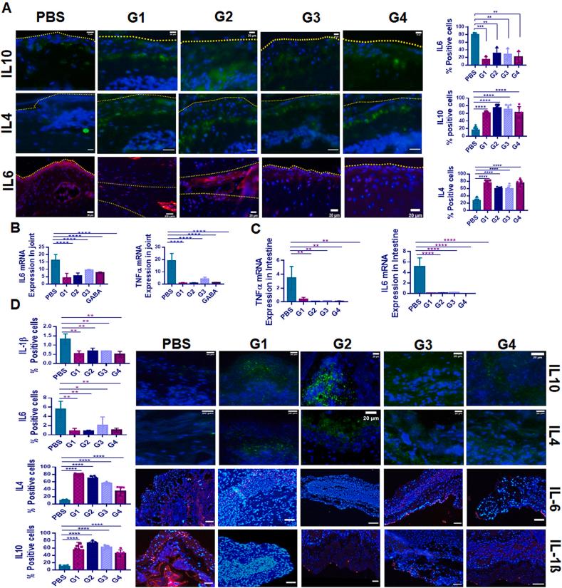 https://cdn.ncbi.nlm.nih.gov/pmc/blobs/a993/10785157/ea8ff4eaa3a6/gr5.jpg
