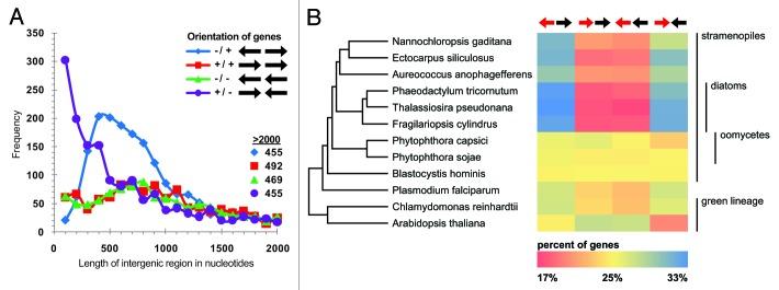 https://cdn.ncbi.nlm.nih.gov/pmc/blobs/a993/3566019/4503f72f999b/bbug-4-37-g2.jpg