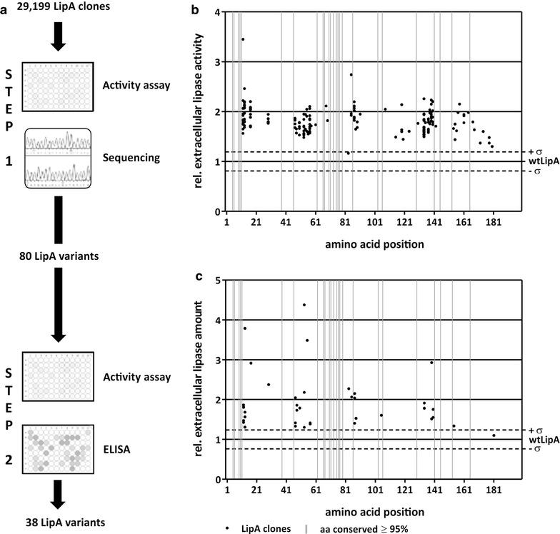 https://cdn.ncbi.nlm.nih.gov/pmc/blobs/a993/5613506/ef450e30f3c6/12934_2017_772_Fig2_HTML.jpg