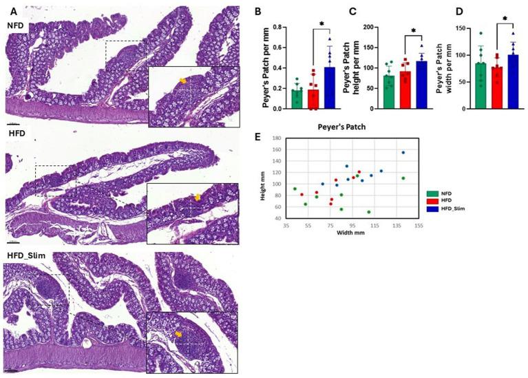 https://cdn.ncbi.nlm.nih.gov/pmc/blobs/a994/11997693/9d8ac714cbbb/fmicb-16-1494994-g003.jpg