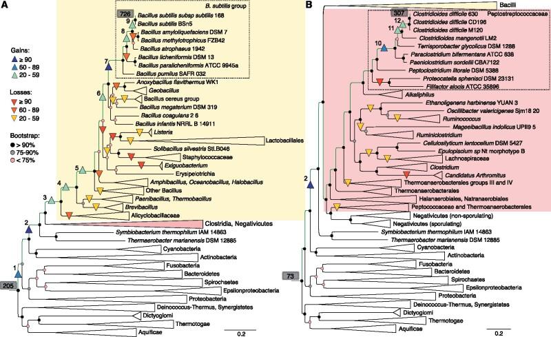 https://cdn.ncbi.nlm.nih.gov/pmc/blobs/a995/6878958/da4530e62c1e/molbev_36_12_2714_f4.jpg