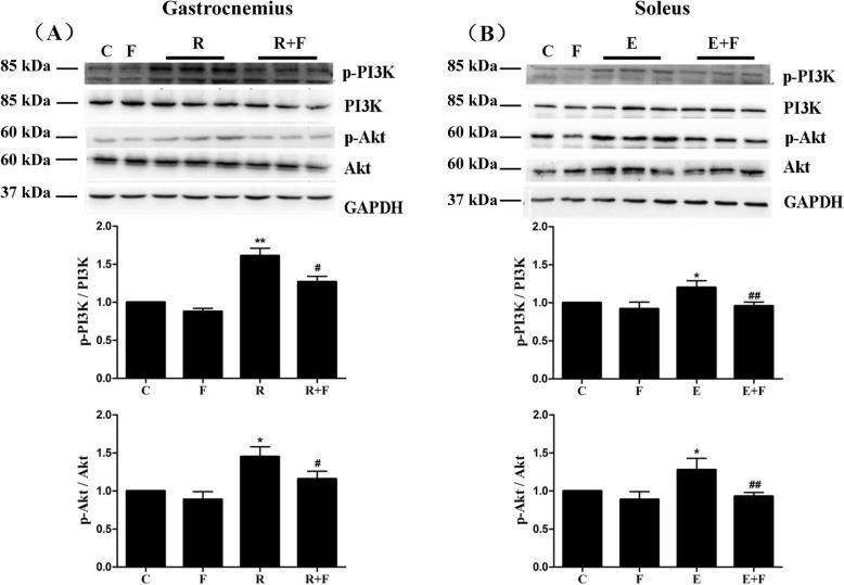 https://cdn.ncbi.nlm.nih.gov/pmc/blobs/a995/7106900/06f89eb754e6/12986_2020_446_Fig7_HTML.jpg