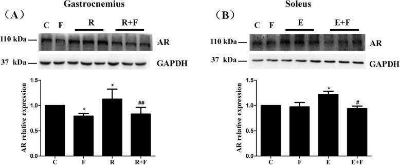 https://cdn.ncbi.nlm.nih.gov/pmc/blobs/a995/7106900/c54b4535ac01/12986_2020_446_Fig4_HTML.jpg