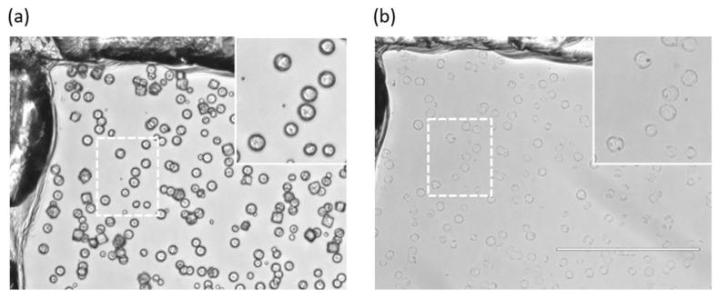 https://cdn.ncbi.nlm.nih.gov/pmc/blobs/a996/10779910/cf8ad6923e8f/materials-17-00103-g003.jpg