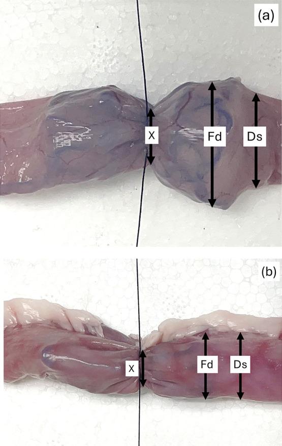 https://cdn.ncbi.nlm.nih.gov/pmc/blobs/a996/12242635/97388acba76e/ao5c03110_0011.jpg