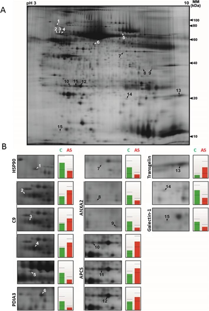 https://cdn.ncbi.nlm.nih.gov/pmc/blobs/a996/6923932/0f34b7472a4e/12872_2019_1294_Fig1_HTML.jpg