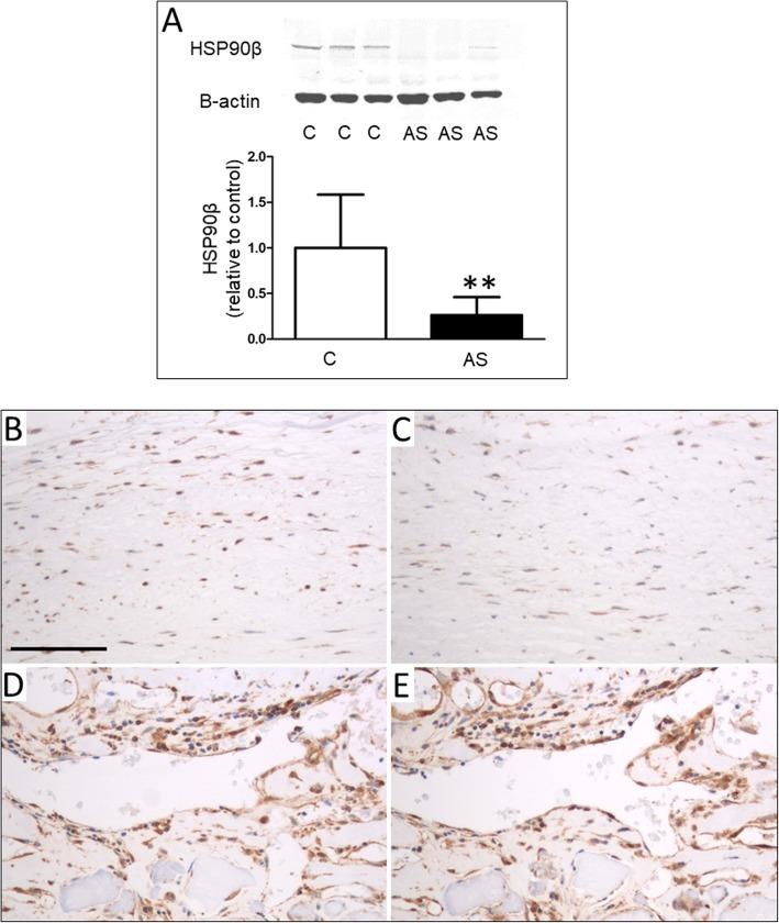 https://cdn.ncbi.nlm.nih.gov/pmc/blobs/a996/6923932/75a562136855/12872_2019_1294_Fig2_HTML.jpg
