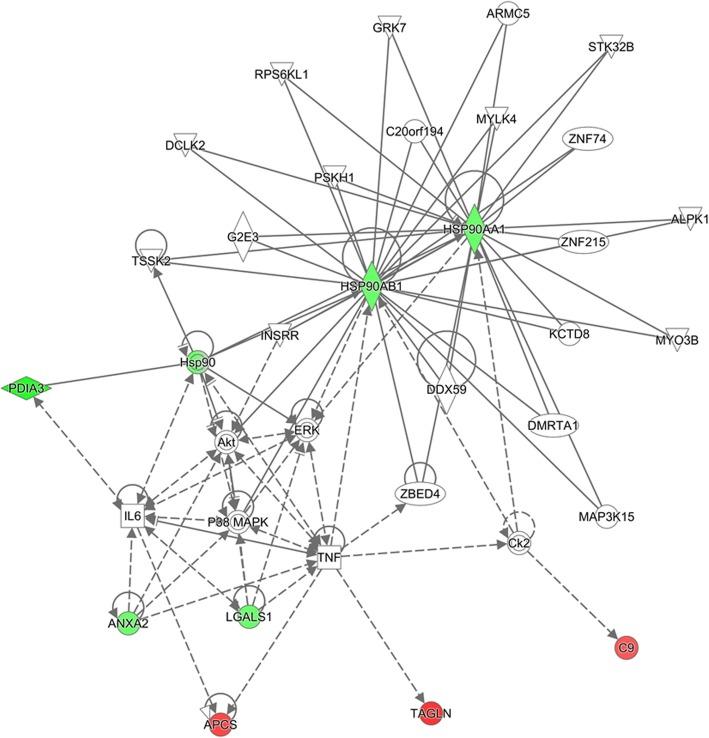 https://cdn.ncbi.nlm.nih.gov/pmc/blobs/a996/6923932/929a2f16a26a/12872_2019_1294_Fig4_HTML.jpg