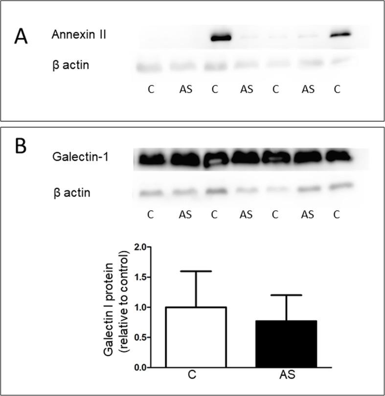 https://cdn.ncbi.nlm.nih.gov/pmc/blobs/a996/6923932/b31515e2fa89/12872_2019_1294_Fig3_HTML.jpg