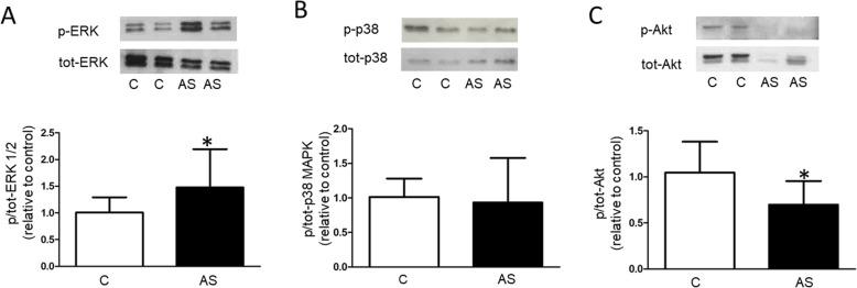 https://cdn.ncbi.nlm.nih.gov/pmc/blobs/a996/6923932/e1e8972b336e/12872_2019_1294_Fig5_HTML.jpg