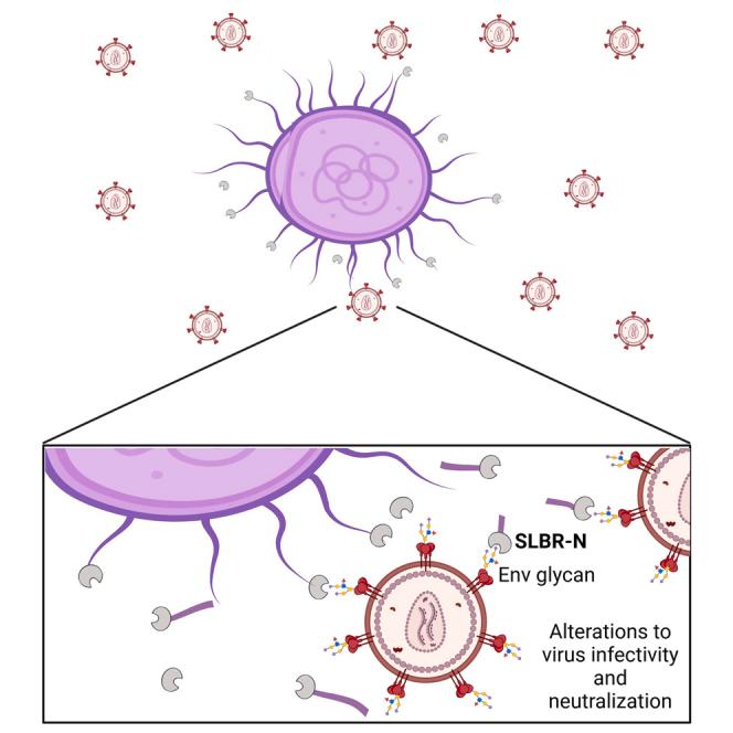 https://cdn.ncbi.nlm.nih.gov/pmc/blobs/a999/11301080/e7f0ab74e853/fx1.jpg
