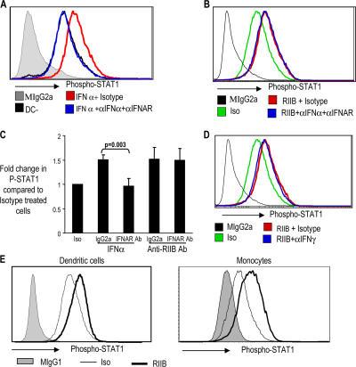 https://cdn.ncbi.nlm.nih.gov/pmc/blobs/a99c/2118610/fc0245484850/jem2041359f04.jpg