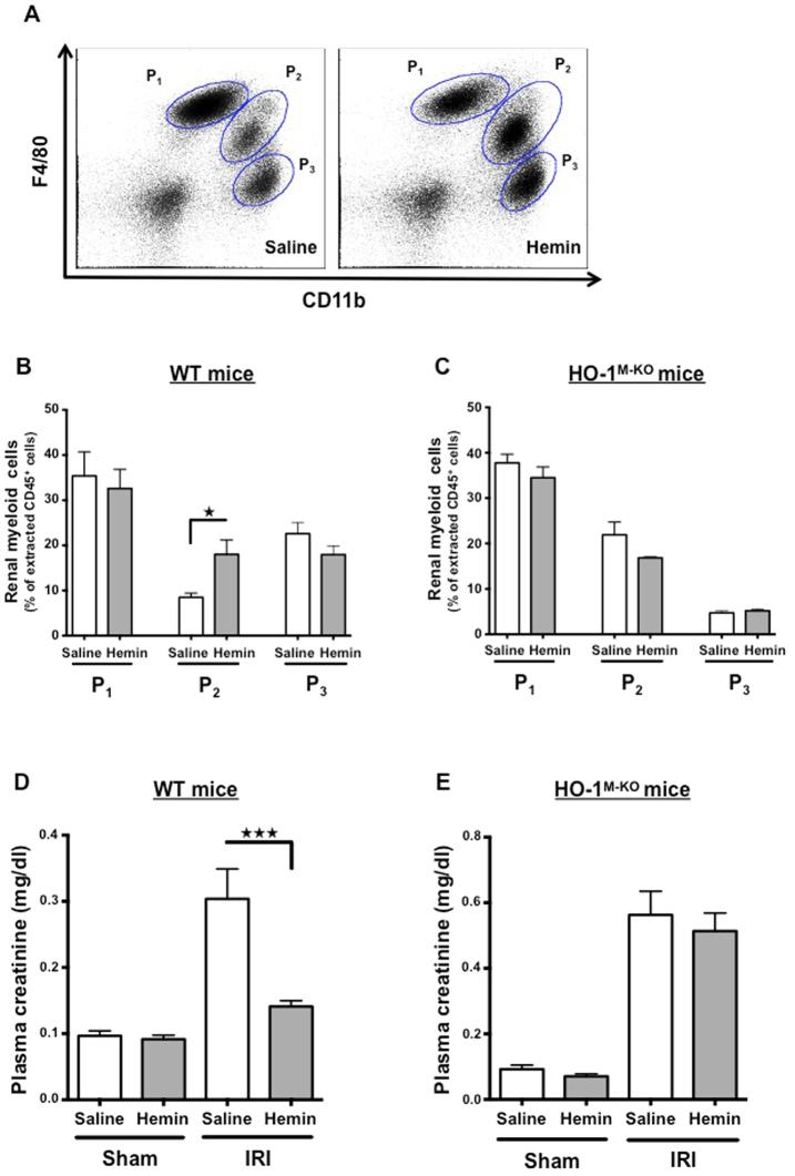 https://cdn.ncbi.nlm.nih.gov/pmc/blobs/a99e/5428056/f92966336852/41598_2017_220_Fig8_HTML.jpg