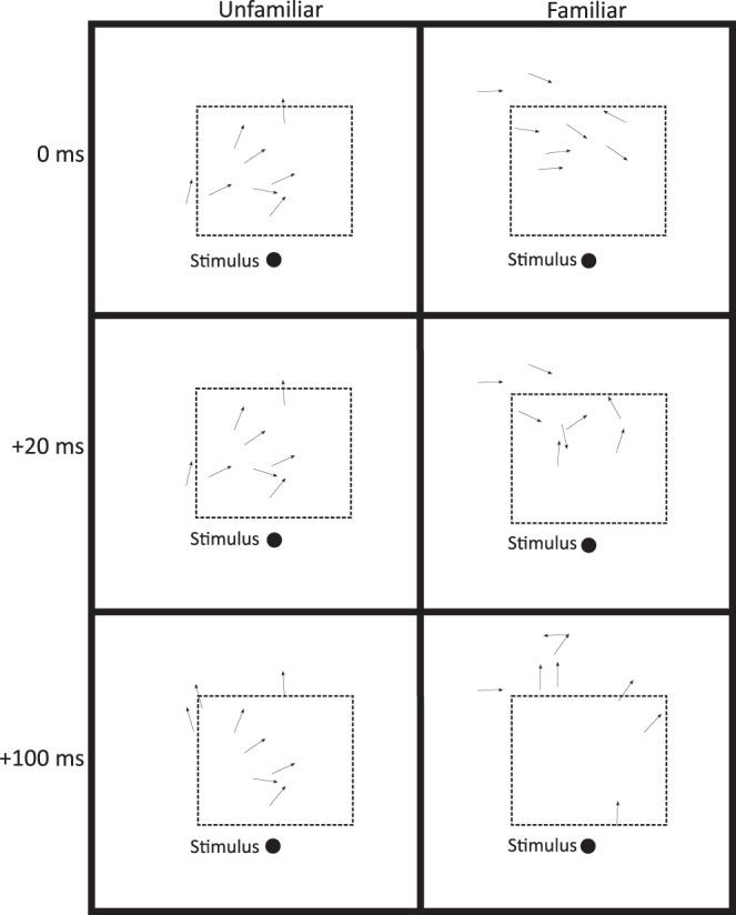 https://cdn.ncbi.nlm.nih.gov/pmc/blobs/a99e/8292327/4f1ac95869de/42003_2021_2407_Fig6_HTML.jpg