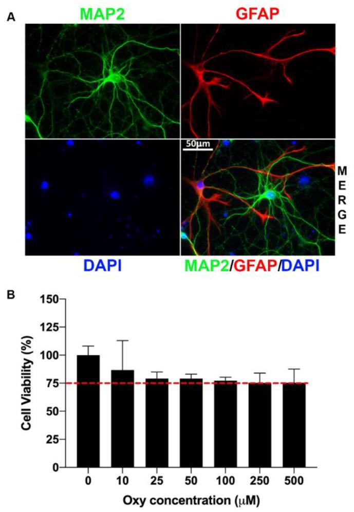 https://cdn.ncbi.nlm.nih.gov/pmc/blobs/a9a0/8232620/6fe94f643c47/ijms-22-06421-g001.jpg