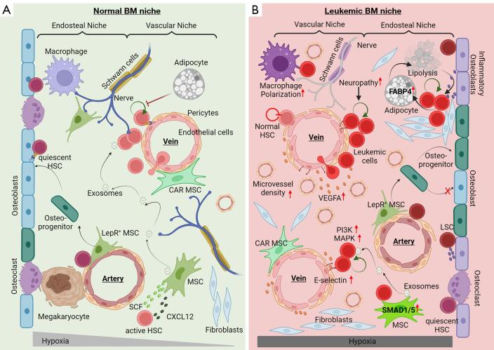 https://cdn.ncbi.nlm.nih.gov/pmc/blobs/a9a1/11304419/7247ea1a6550/atm-12-04-63-f1.jpg