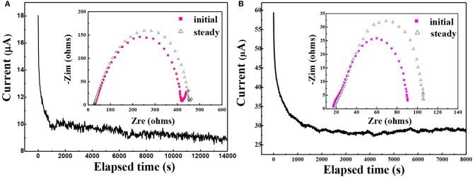 https://cdn.ncbi.nlm.nih.gov/pmc/blobs/a9a5/6554539/46837e9a0805/fchem-07-00388-g0007.jpg