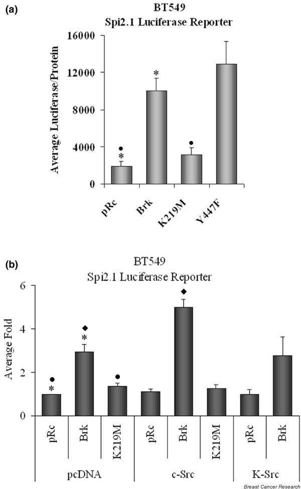 https://cdn.ncbi.nlm.nih.gov/pmc/blobs/a9a6/2246177/d95b875d7301/bcr1794-5.jpg