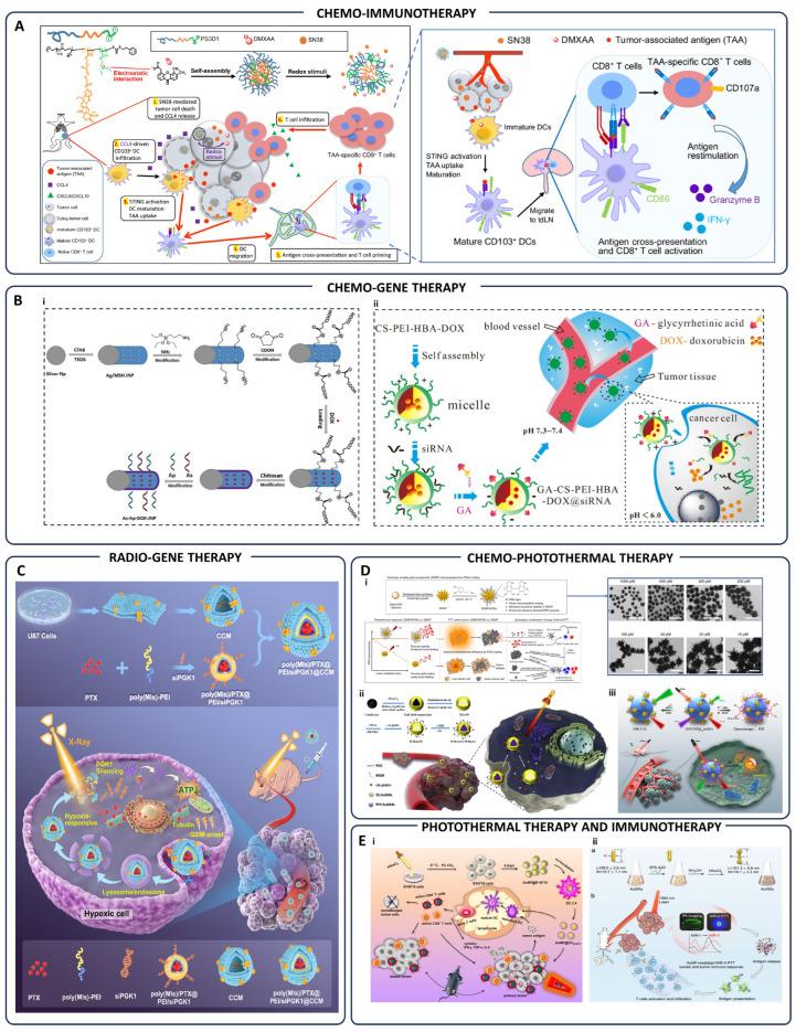 https://cdn.ncbi.nlm.nih.gov/pmc/blobs/a9a7/12196053/bbce5bb8e067/pharmaceutics-17-00682-g003.jpg