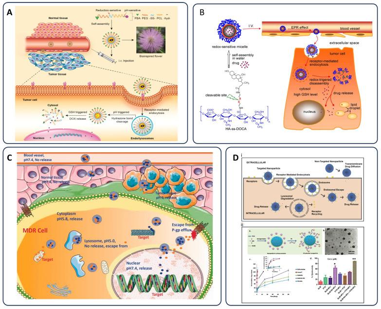 https://cdn.ncbi.nlm.nih.gov/pmc/blobs/a9a7/12196053/fb8eb66550e4/pharmaceutics-17-00682-g001.jpg