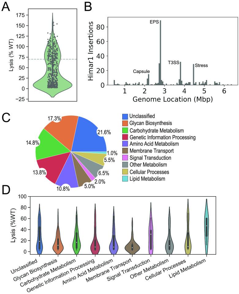 https://cdn.ncbi.nlm.nih.gov/pmc/blobs/a9a8/9430717/0326b57bdee0/spectrum.02083-22-f003.jpg