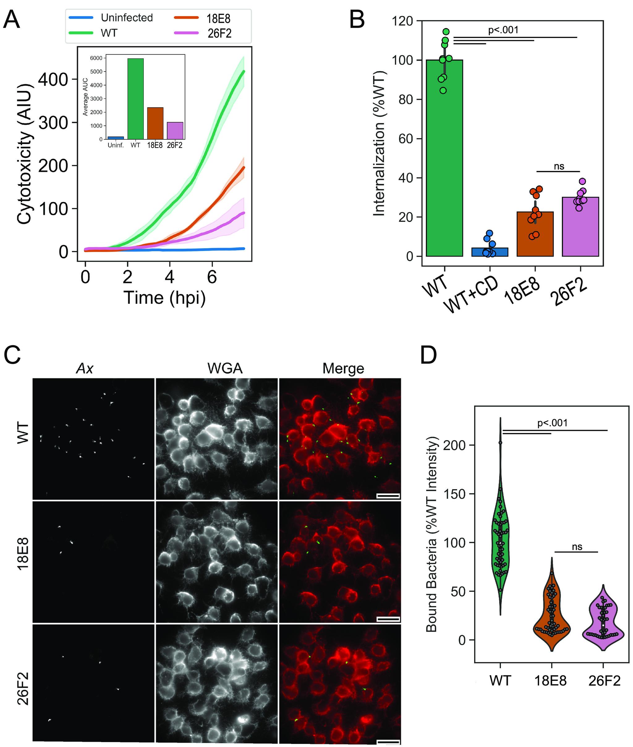 https://cdn.ncbi.nlm.nih.gov/pmc/blobs/a9a8/9430717/6d3bd93ac3ce/spectrum.02083-22-f006.jpg