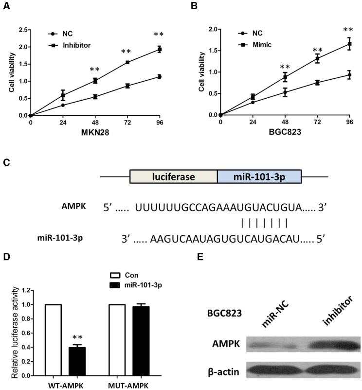 https://cdn.ncbi.nlm.nih.gov/pmc/blobs/a9a9/6646863/29331a4b11fb/gr6.jpg